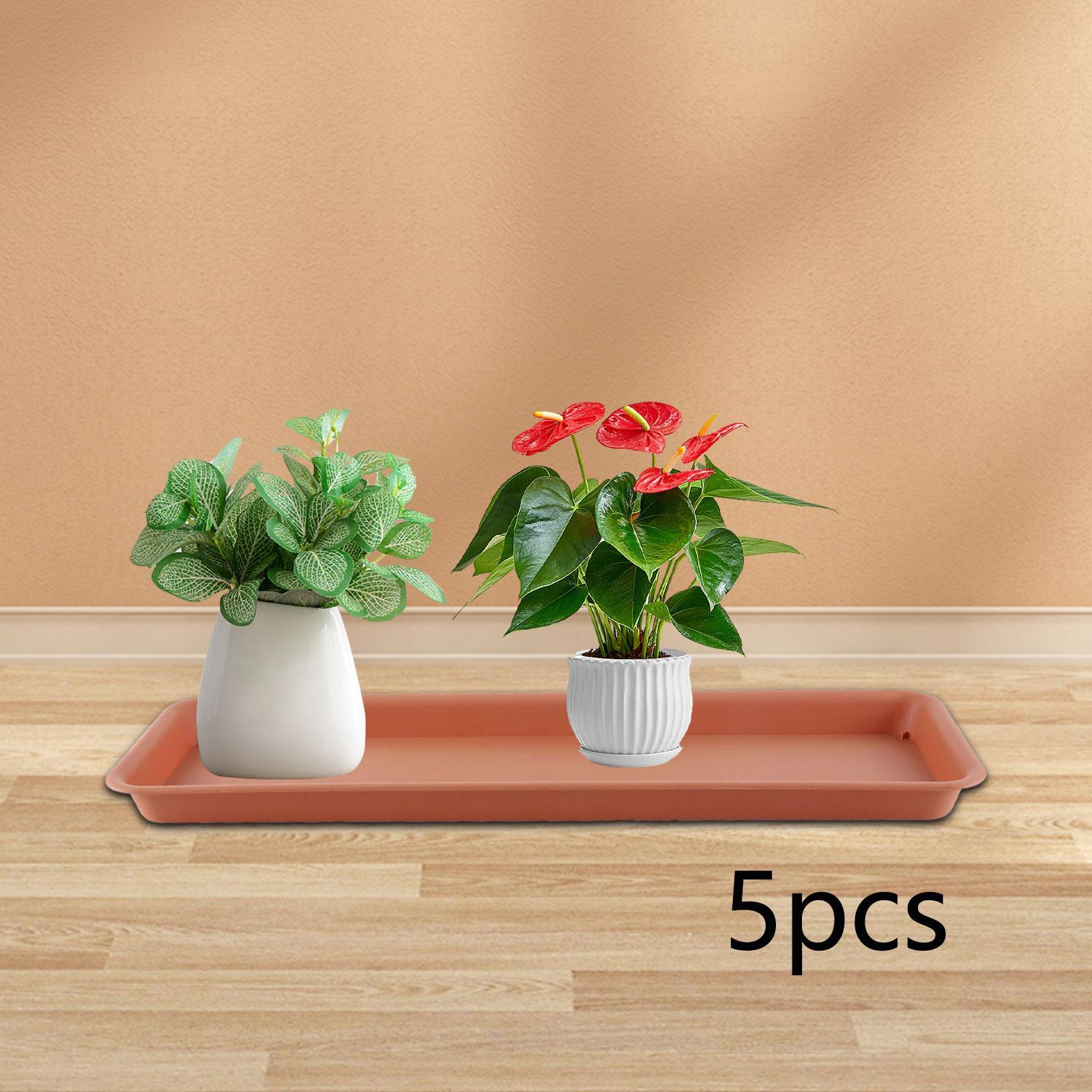 High Flower Pot for the Terrac - Drip Tray Saucer review and price