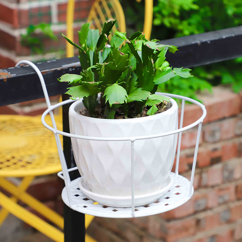 1PC Gardening Pots Outdoor Win - Bonsai Garden Art review and price