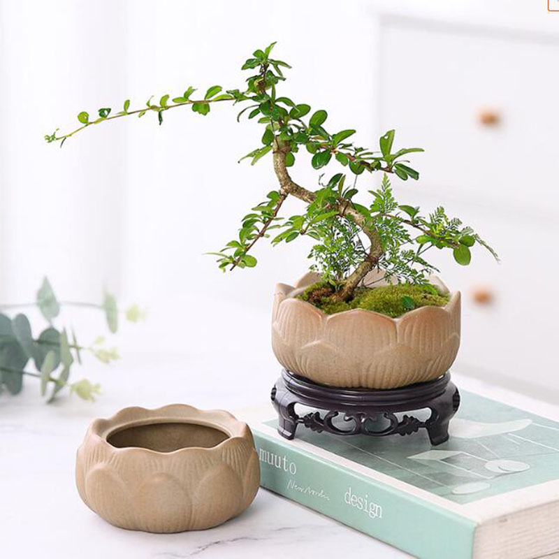 Coarse Pottery Lotus Green Pla - Bonsai Garden Art review and price