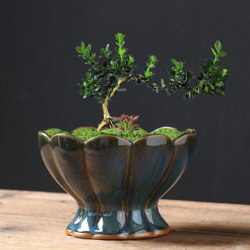 Kiln Transmutation Glazed Eggs - Bonsai Garden Art review and price